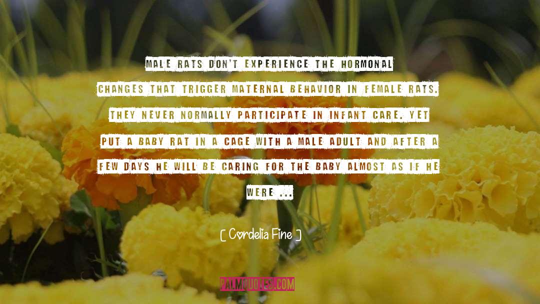 Cordelia Fine Quotes: Male rats don't experience the