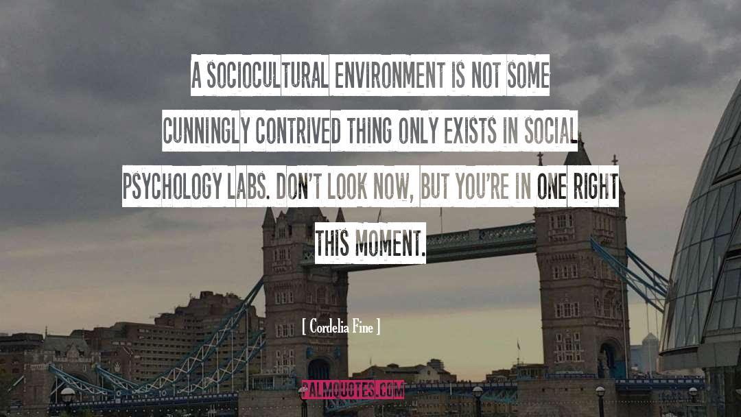 Cordelia Fine Quotes: A sociocultural environment is not