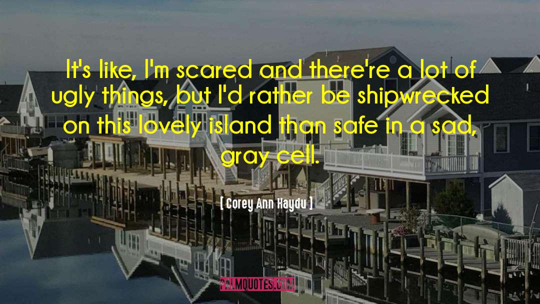Corey Ann Haydu Quotes: It's like, I'm scared and