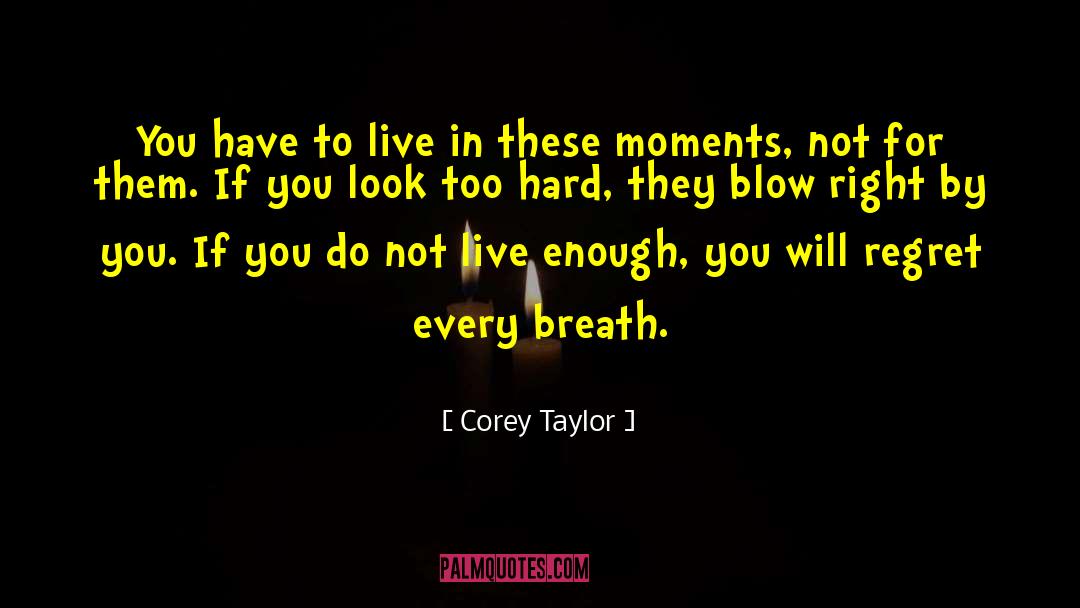 Corey Taylor Quotes: You have to live in