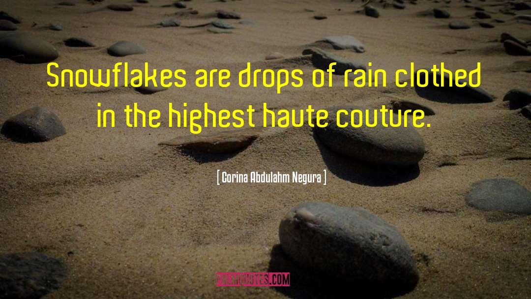 Corina Abdulahm Negura Quotes: Snowflakes are drops of rain