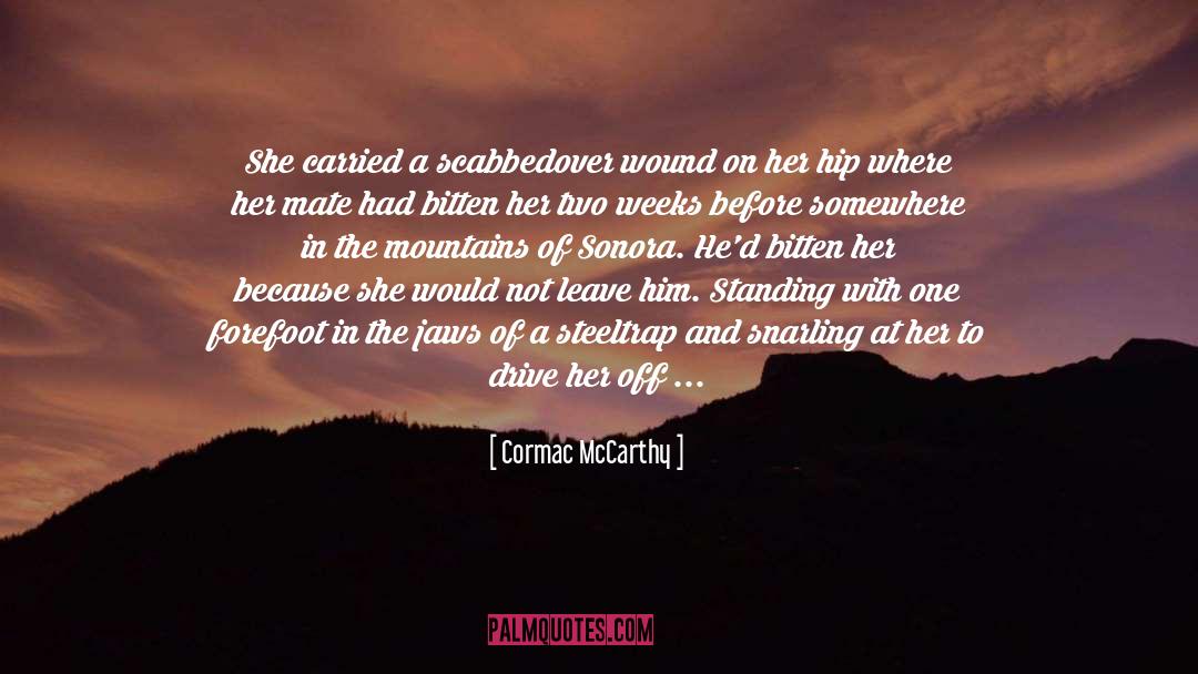 Cormac McCarthy Quotes: She carried a scabbedover wound