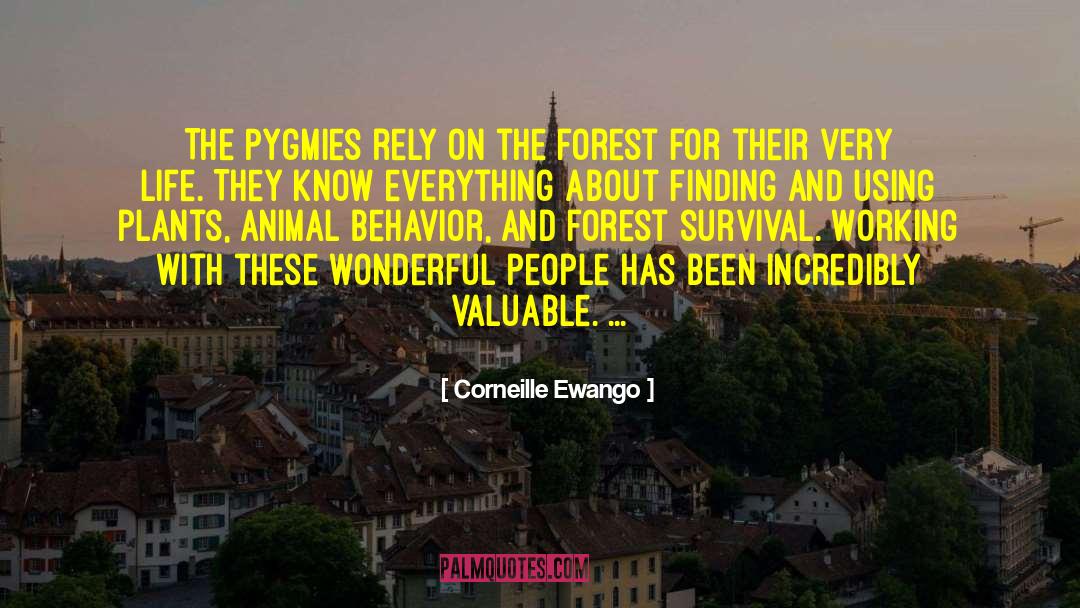 Corneille Ewango Quotes: The Pygmies rely on the