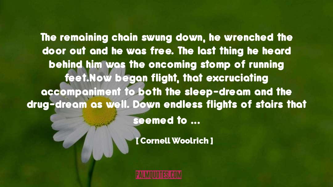 Cornell Woolrich Quotes: The remaining chain swung down,