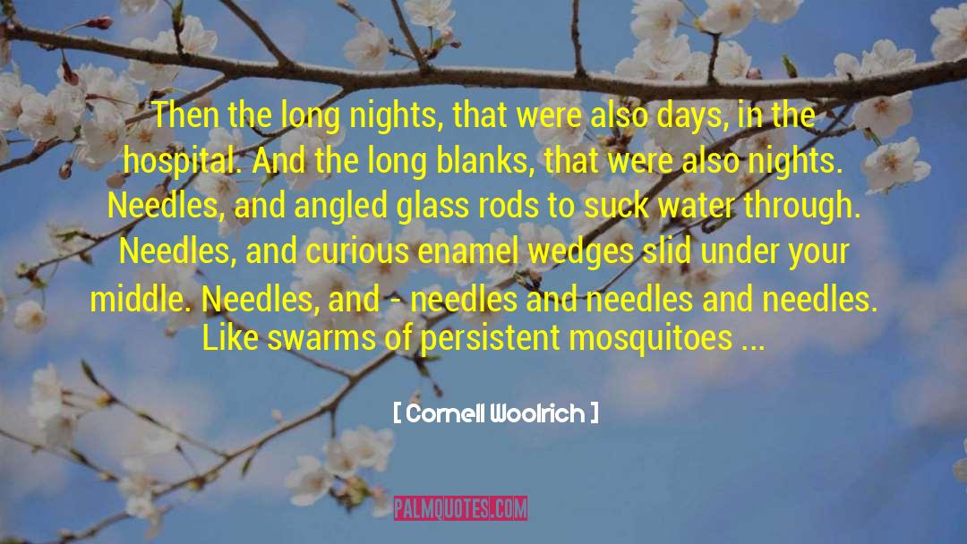 Cornell Woolrich Quotes: Then the long nights, that