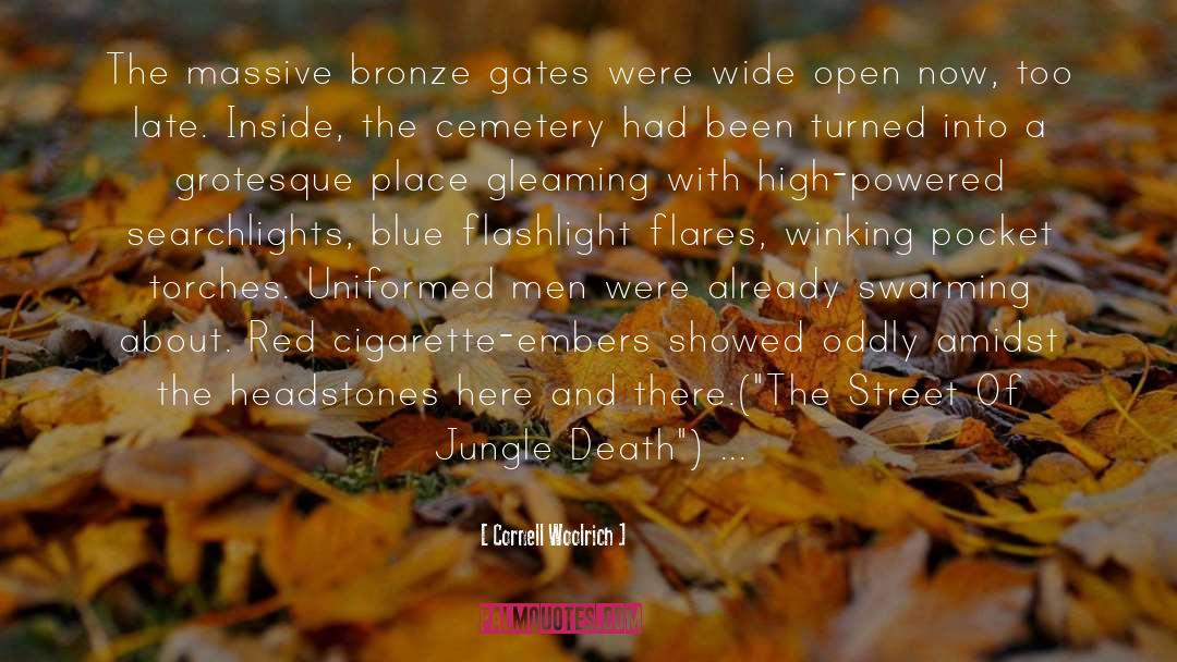 Cornell Woolrich Quotes: The massive bronze gates were