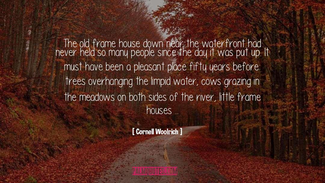 Cornell Woolrich Quotes: The old frame house down