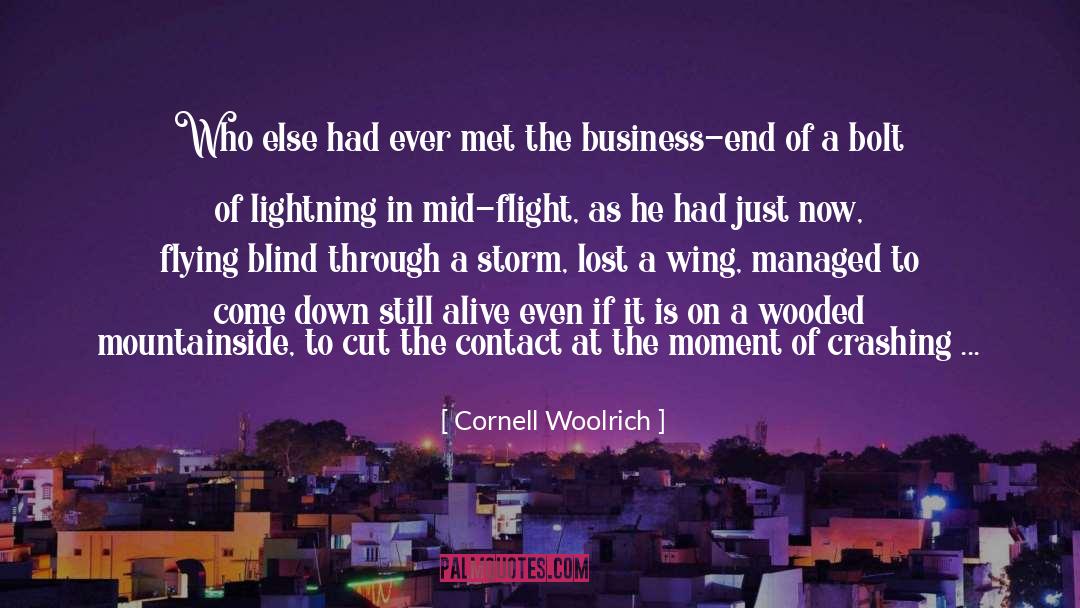 Cornell Woolrich Quotes: Who else had ever met