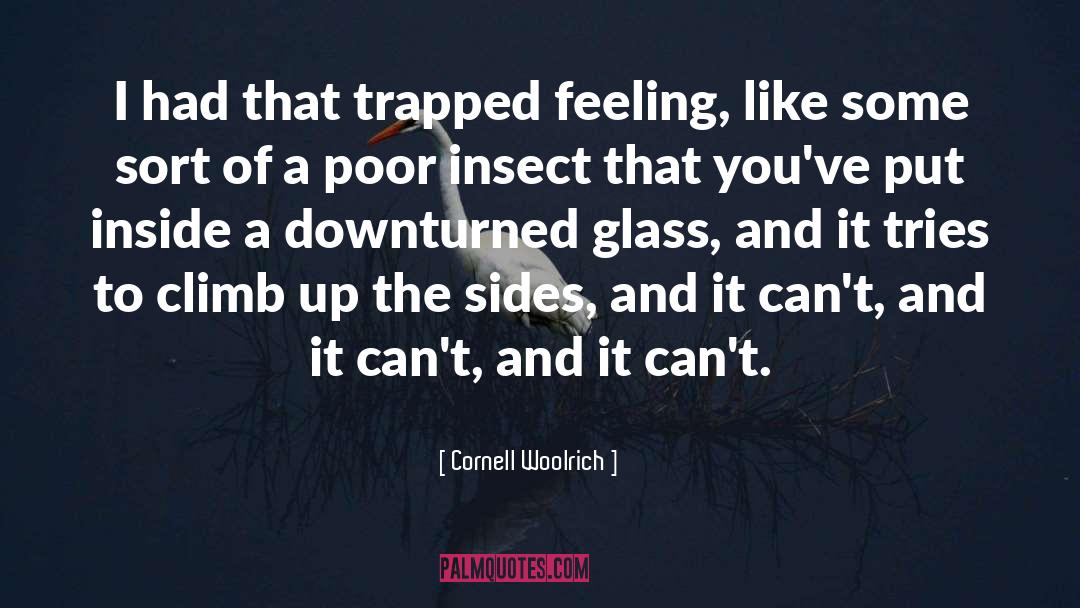 Cornell Woolrich Quotes: I had that trapped feeling,