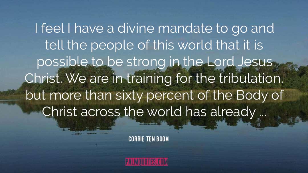 Corrie Ten Boom Quotes: I feel I have a