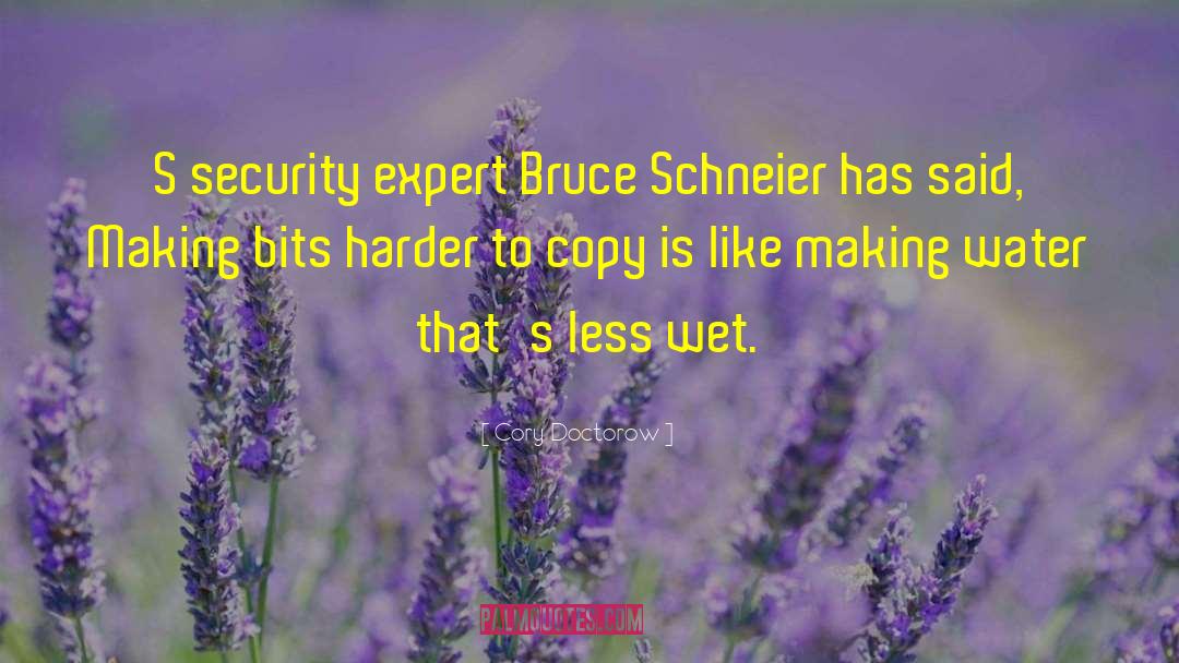 Cory Doctorow Quotes: S security expert Bruce Schneier