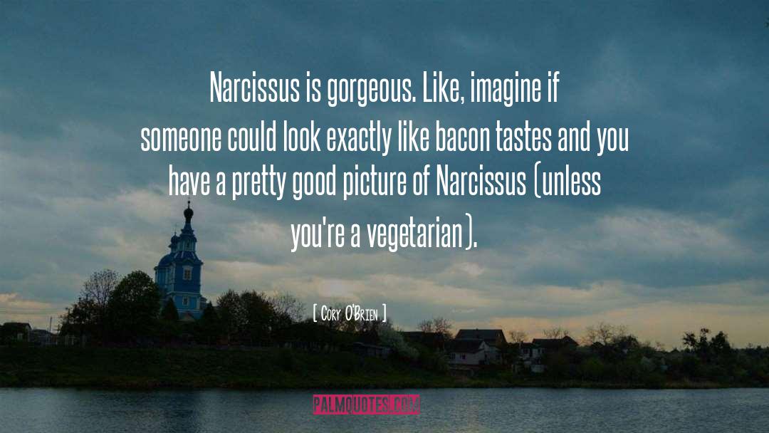 Cory O'Brien Quotes: Narcissus is gorgeous. Like, imagine