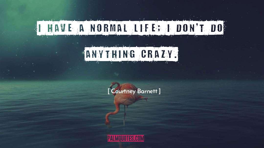 Courtney Barnett Quotes: I have a normal life;