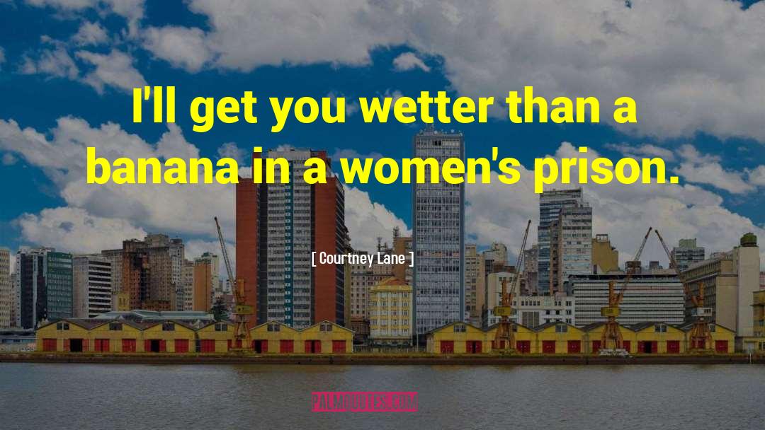 Courtney Lane Quotes: I'll get you wetter than