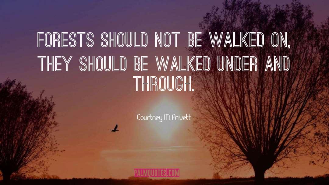 Courtney M. Privett Quotes: Forests should not be walked