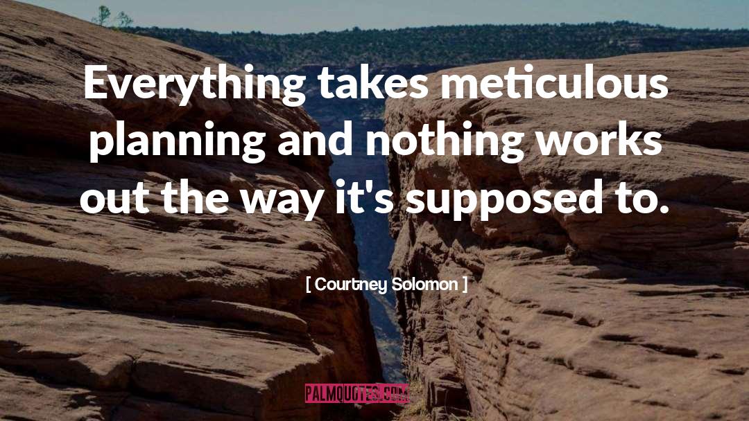 Courtney Solomon Quotes: Everything takes meticulous planning and