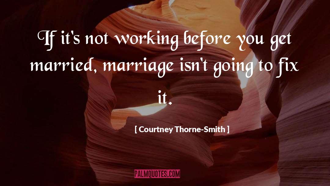 Courtney Thorne-Smith Quotes: If it's not working before