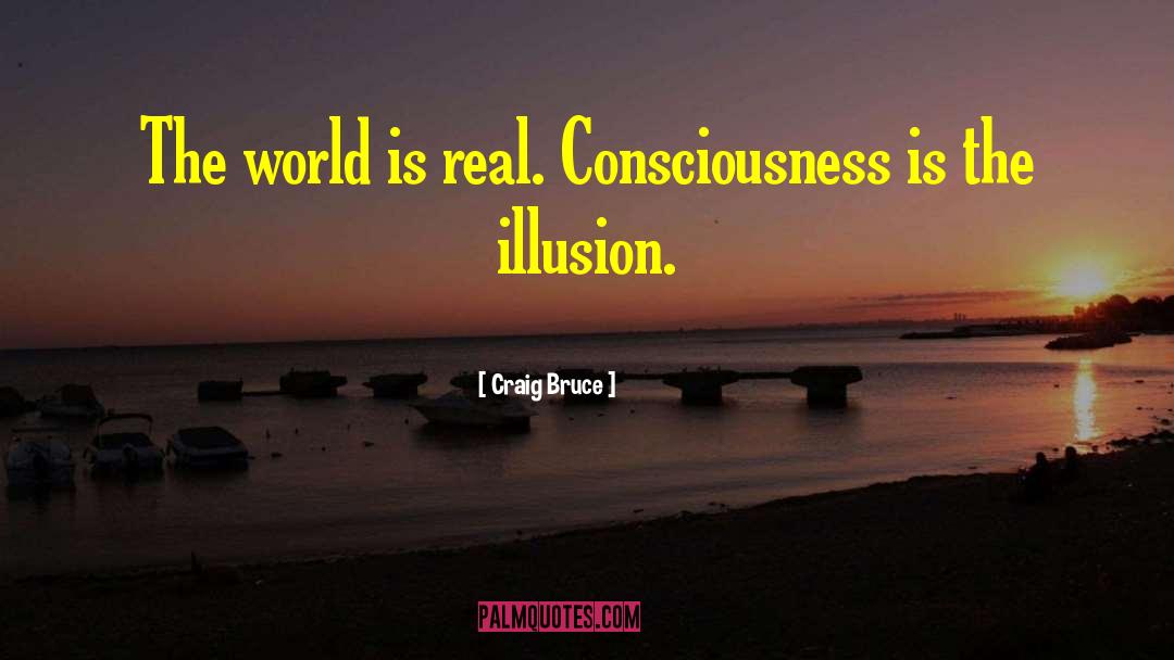 Craig Bruce Quotes: The world is real. Consciousness