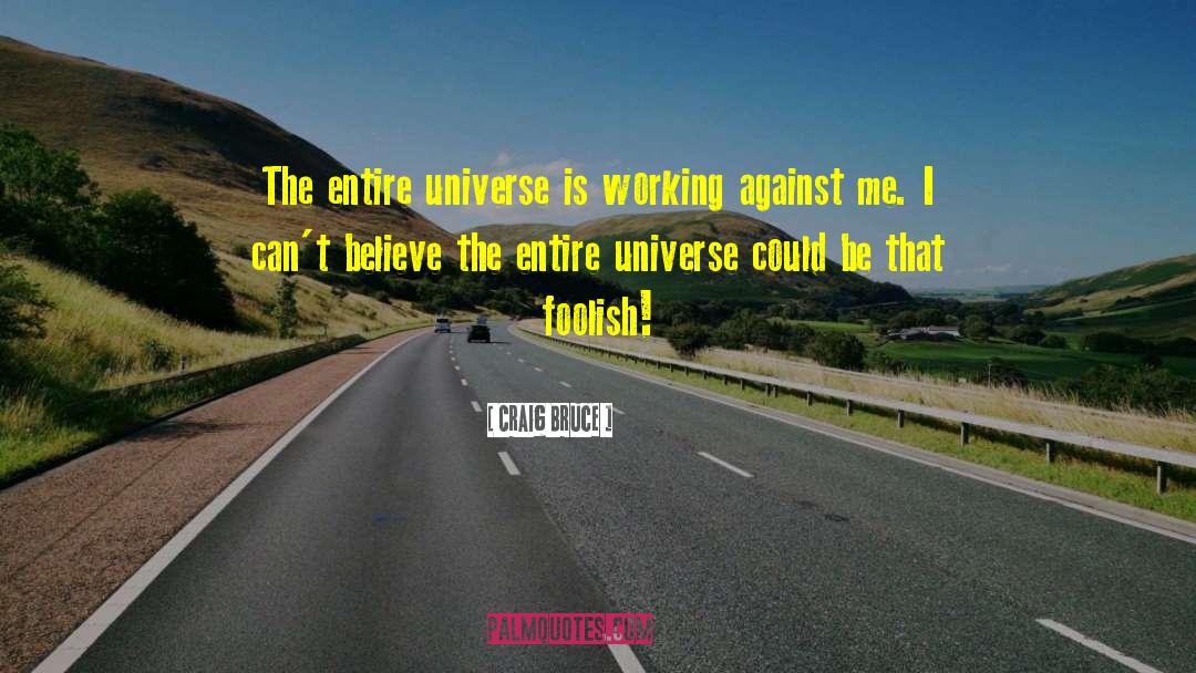 Craig Bruce Quotes: The entire universe is working