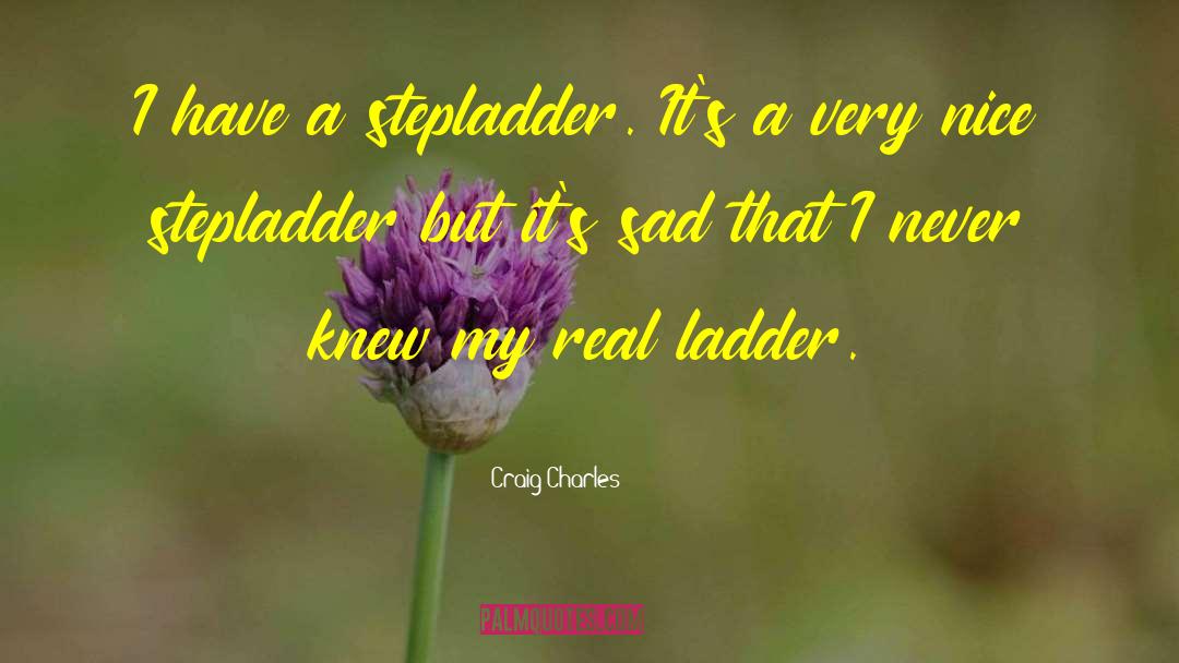 Craig Charles Quotes: I have a stepladder. It's