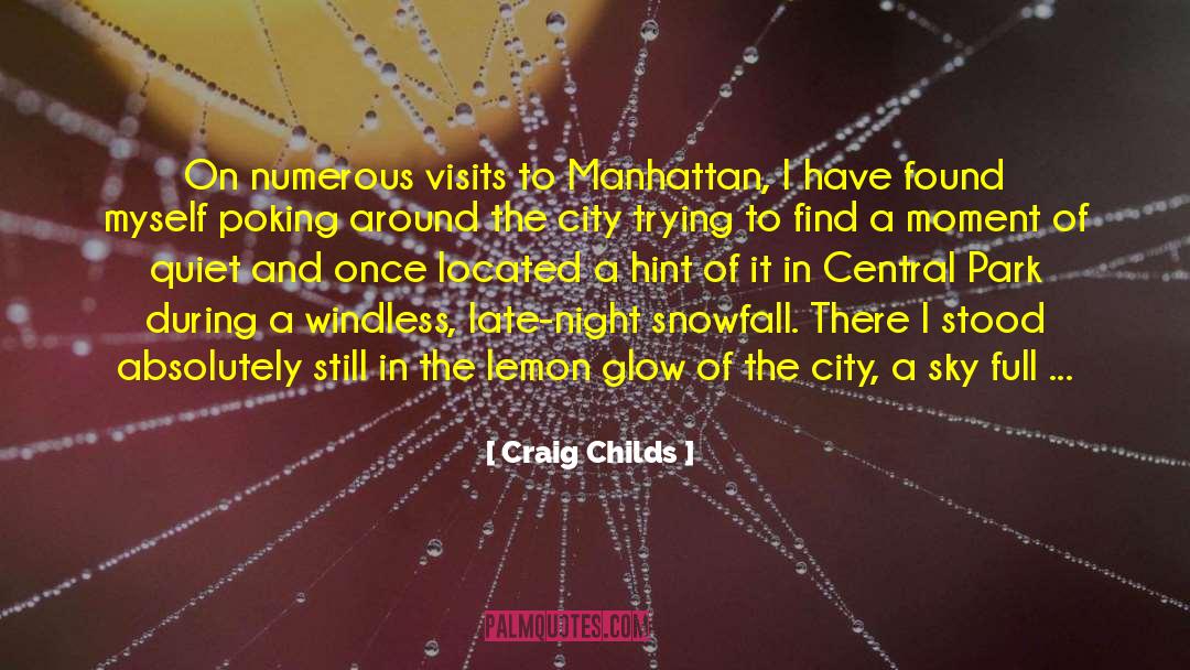 Craig Childs Quotes: On numerous visits to Manhattan,