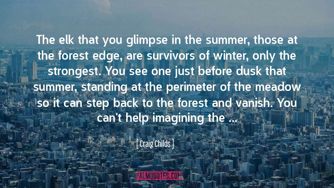 Craig Childs Quotes: The elk that you glimpse