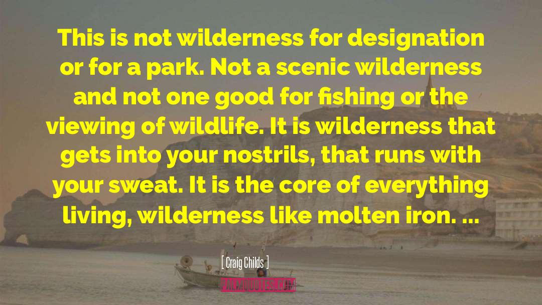 Craig Childs Quotes: This is not wilderness for