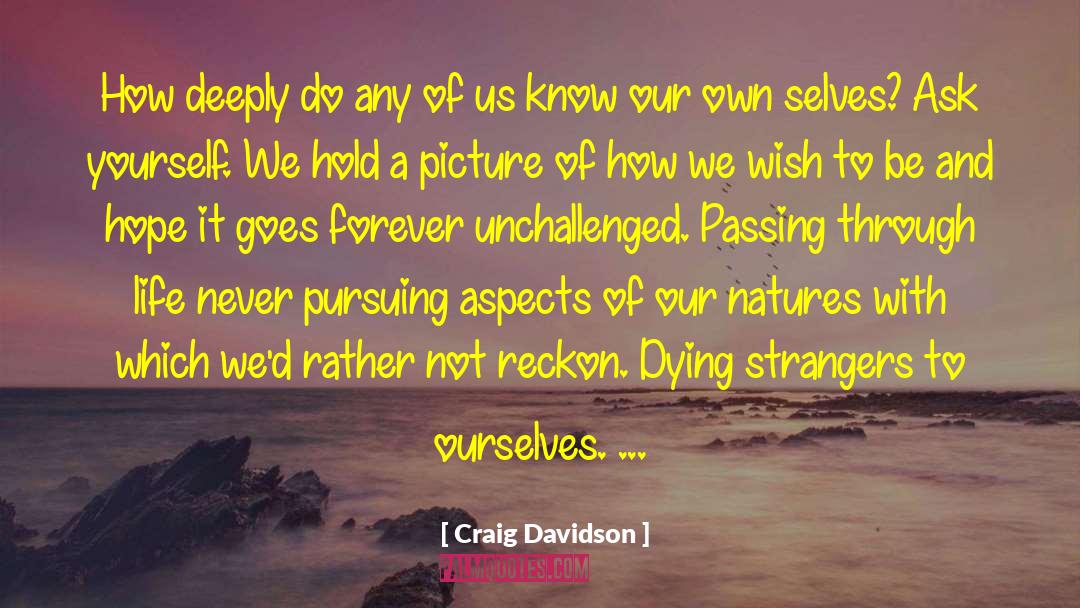 Craig Davidson Quotes: How deeply do any of