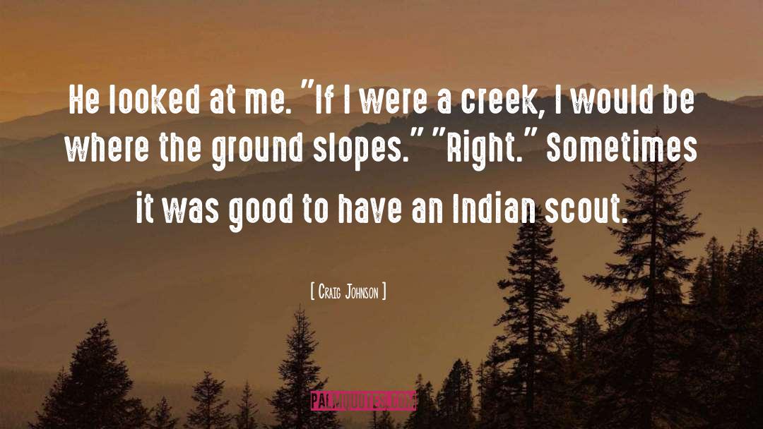 Craig Johnson Quotes: He looked at me. 