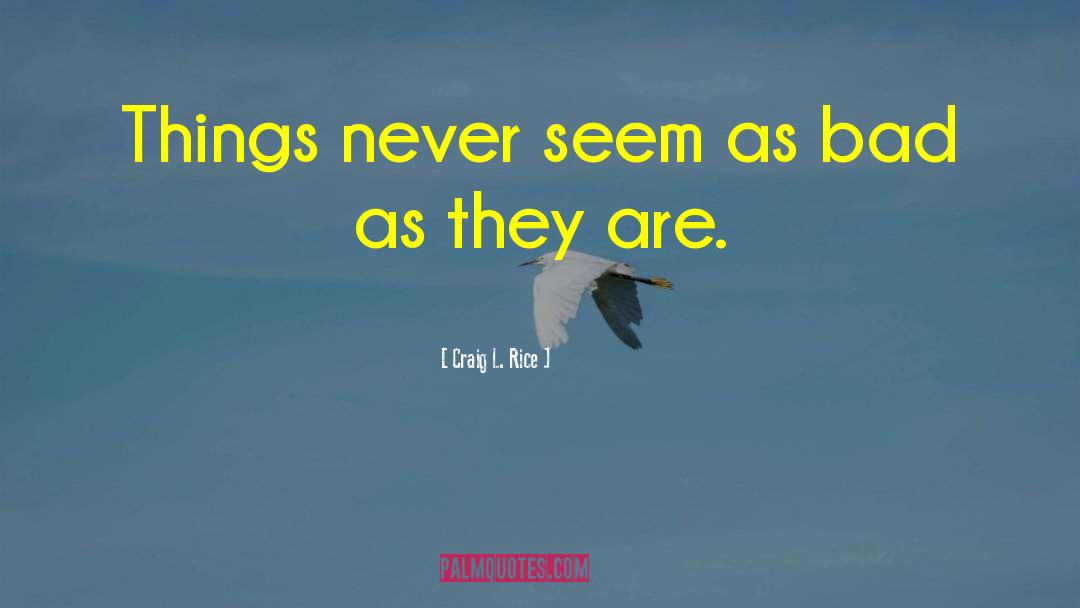 Craig L. Rice Quotes: Things never seem as bad