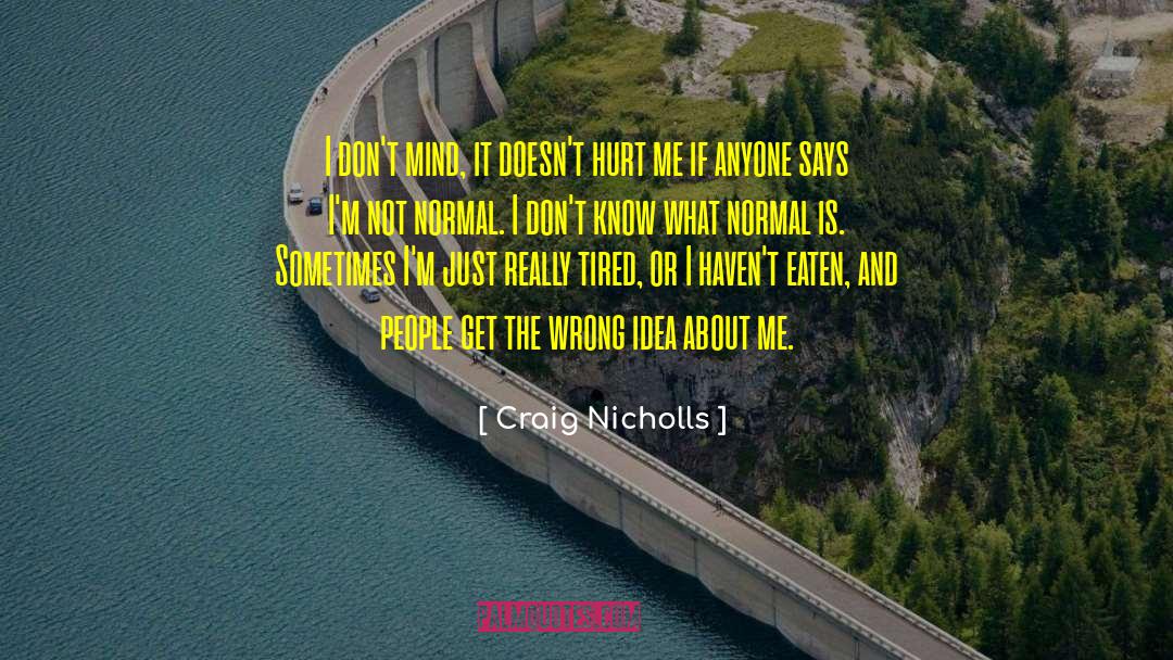 Craig Nicholls Quotes: I don't mind, it doesn't