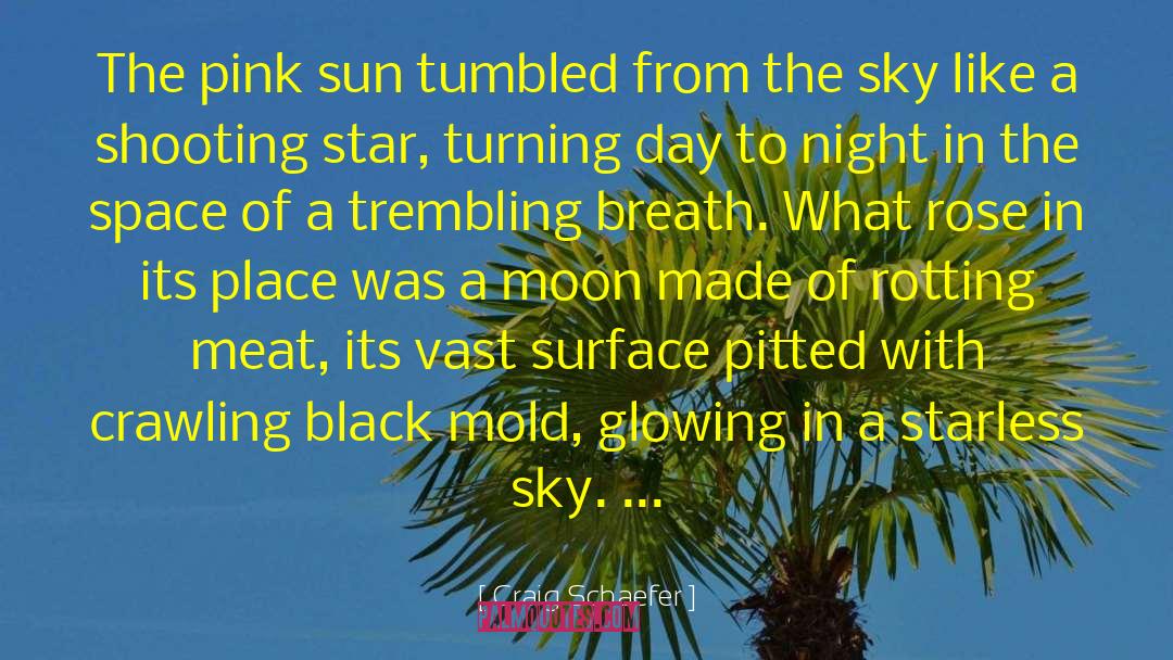 Craig Schaefer Quotes: The pink sun tumbled from