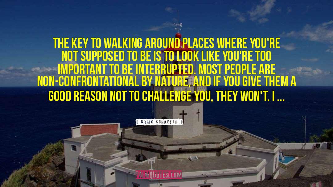Craig Schaefer Quotes: The key to walking around