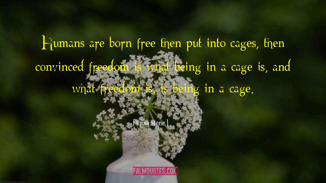 Craig Stone Quotes: Humans are born free then