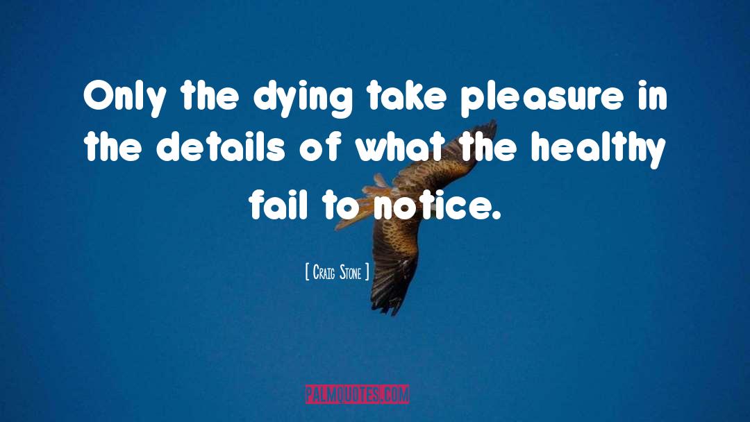Craig Stone Quotes: Only the dying take pleasure
