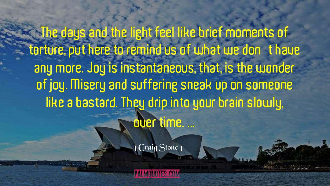 Craig Stone Quotes: The days and the light