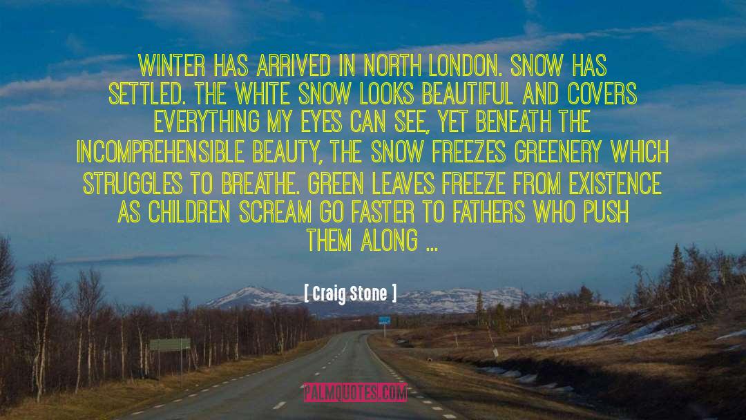 Craig Stone Quotes: Winter has arrived in North