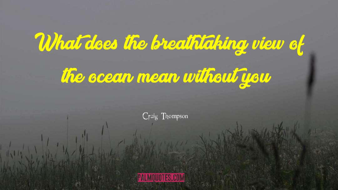 Craig Thompson Quotes: What does the breathtaking view