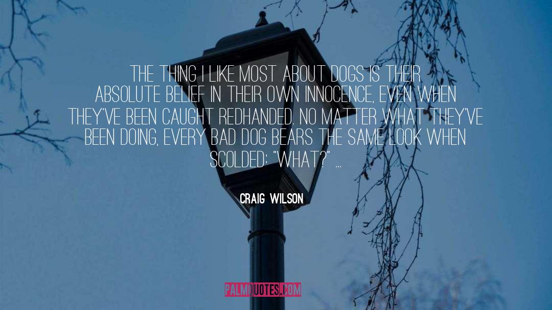 Craig Wilson Quotes: The thing I like most