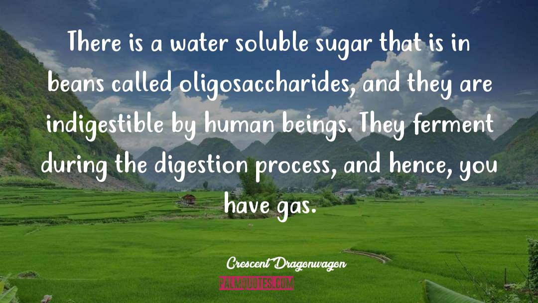 Crescent Dragonwagon Quotes: There is a water soluble