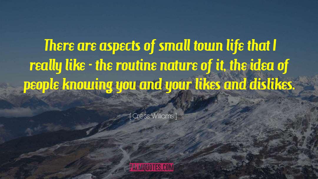 Cress Williams Quotes: There are aspects of small