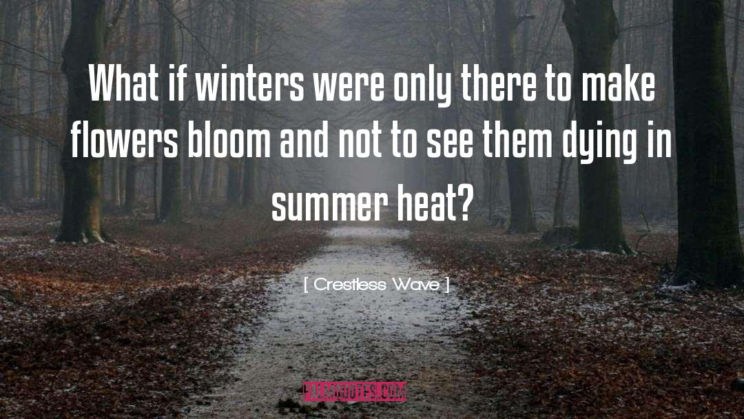 Crestless Wave Quotes: What if winters were only