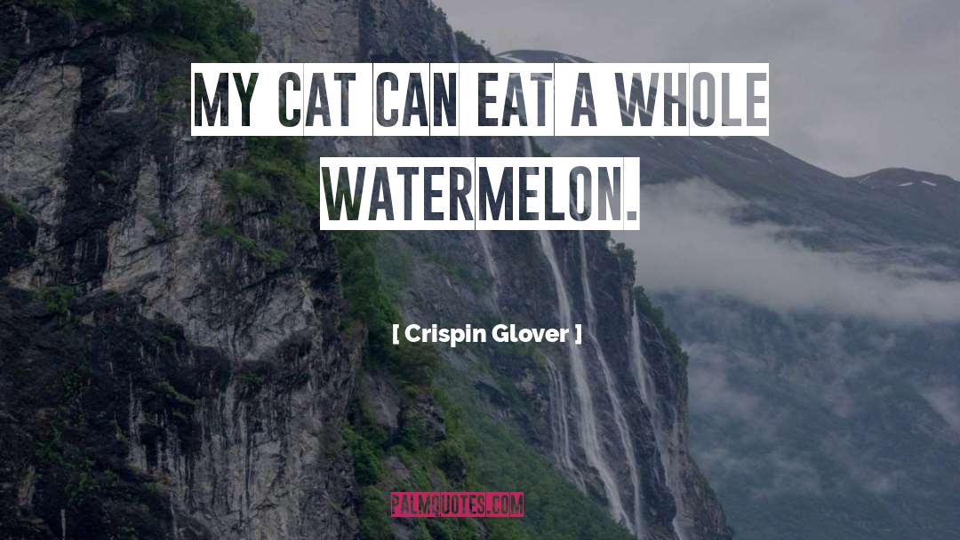 Crispin Glover Quotes: My cat can eat a