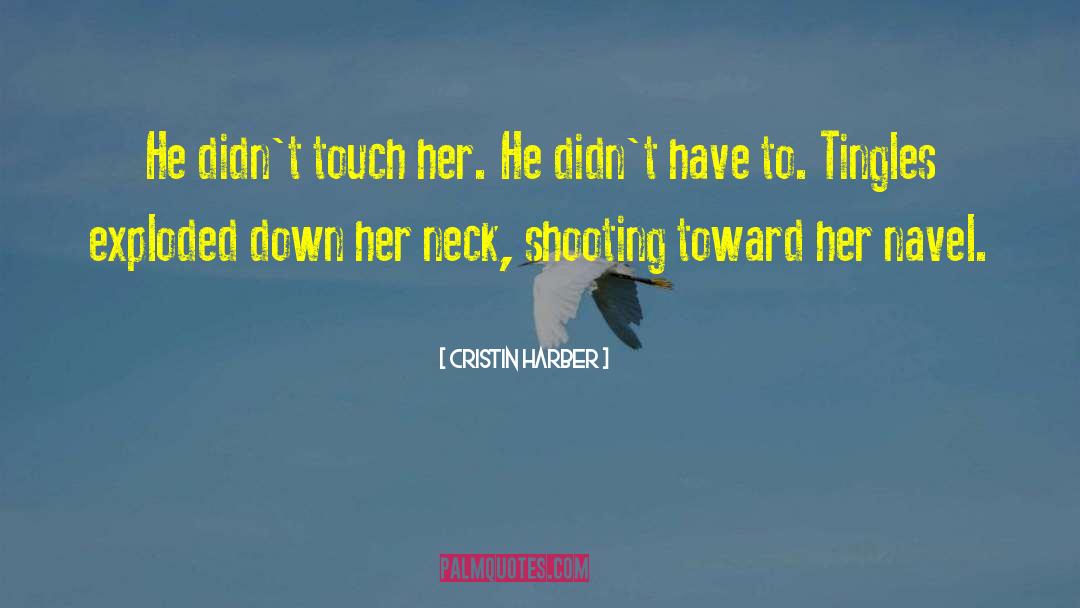 Cristin Harber Quotes: He didn't touch her. He