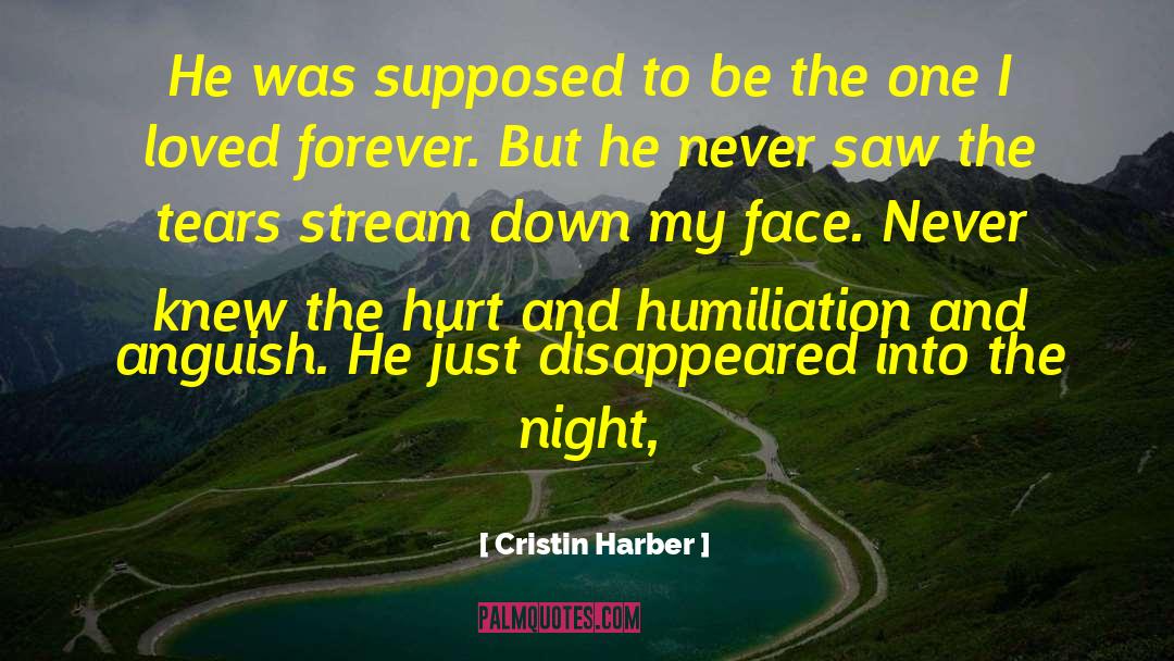 Cristin Harber Quotes: He was supposed to be