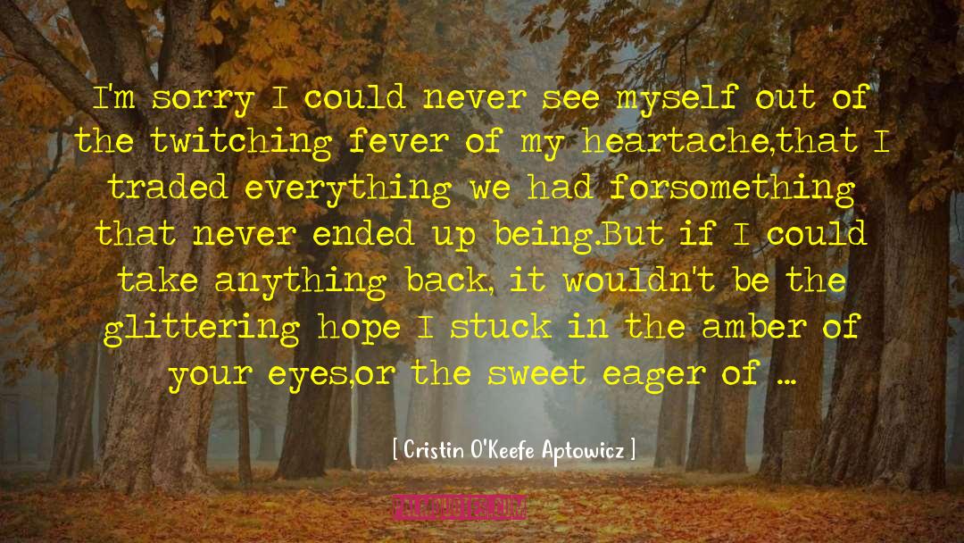 Cristin O'Keefe Aptowicz Quotes: I'm sorry I could never