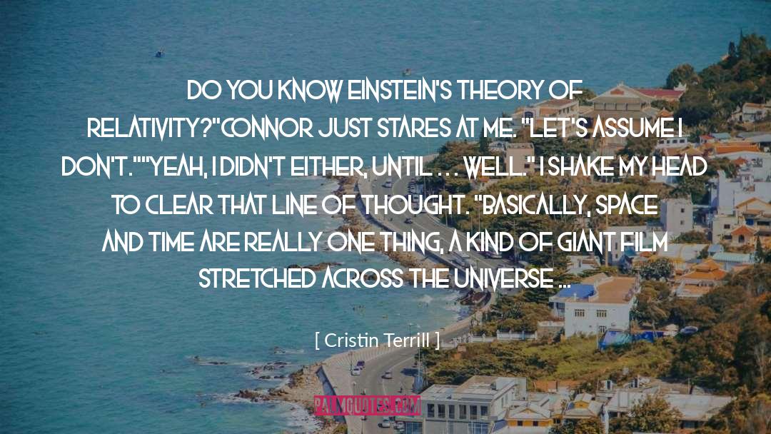 Cristin Terrill Quotes: Do you know Einstein's theory