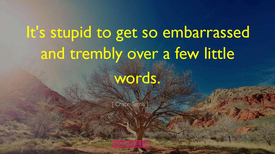 Cristin Terrill Quotes: It's stupid to get so