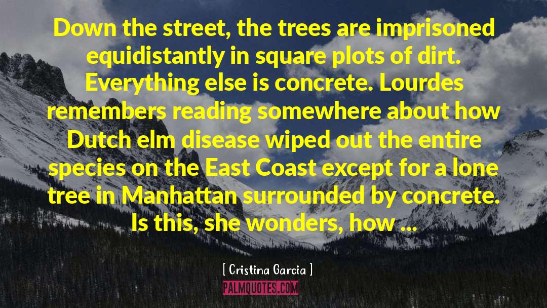 Cristina Garcia Quotes: Down the street, the trees