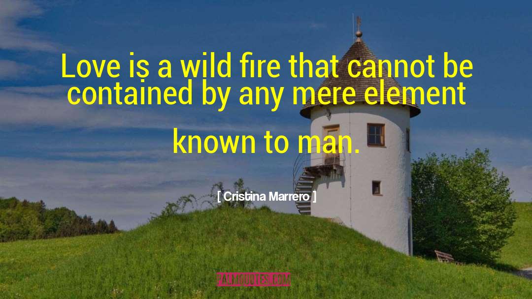 Cristina Marrero Quotes: Love is a wild fire